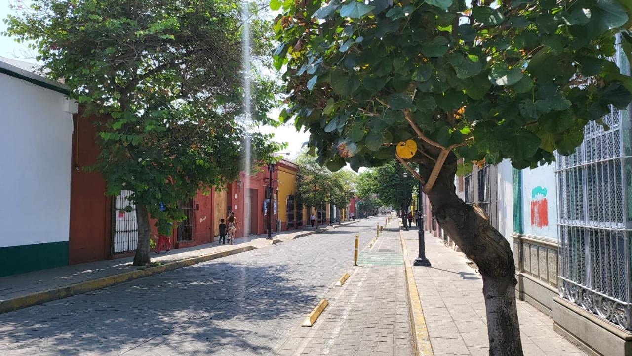 Oaxaca Departments Independencia Apartment Exterior photo